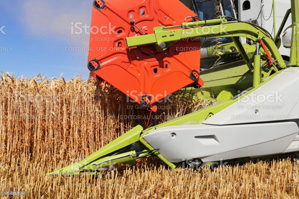 agricultural-cereal-harvest-with-with-combine-harvester-picture-id1254232672