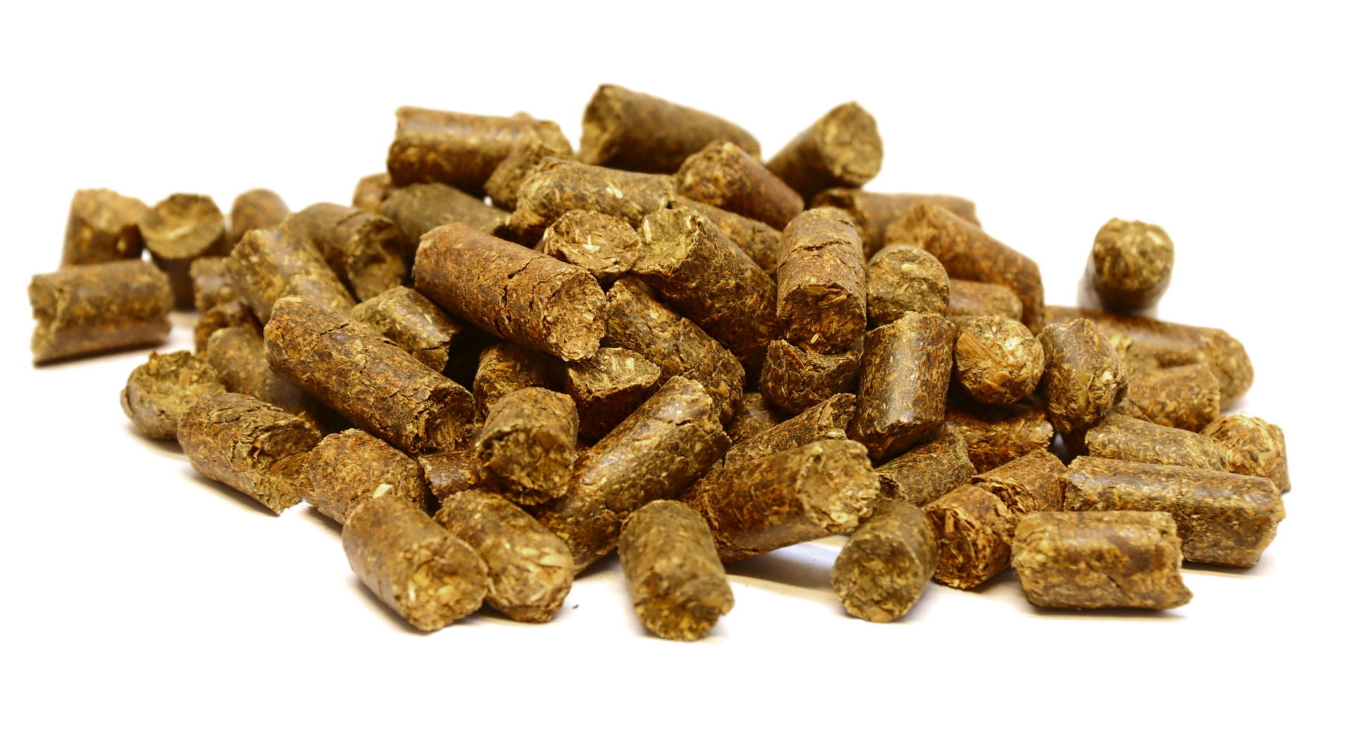Apfeltrester pelletiert Apfeltrester pelletiert